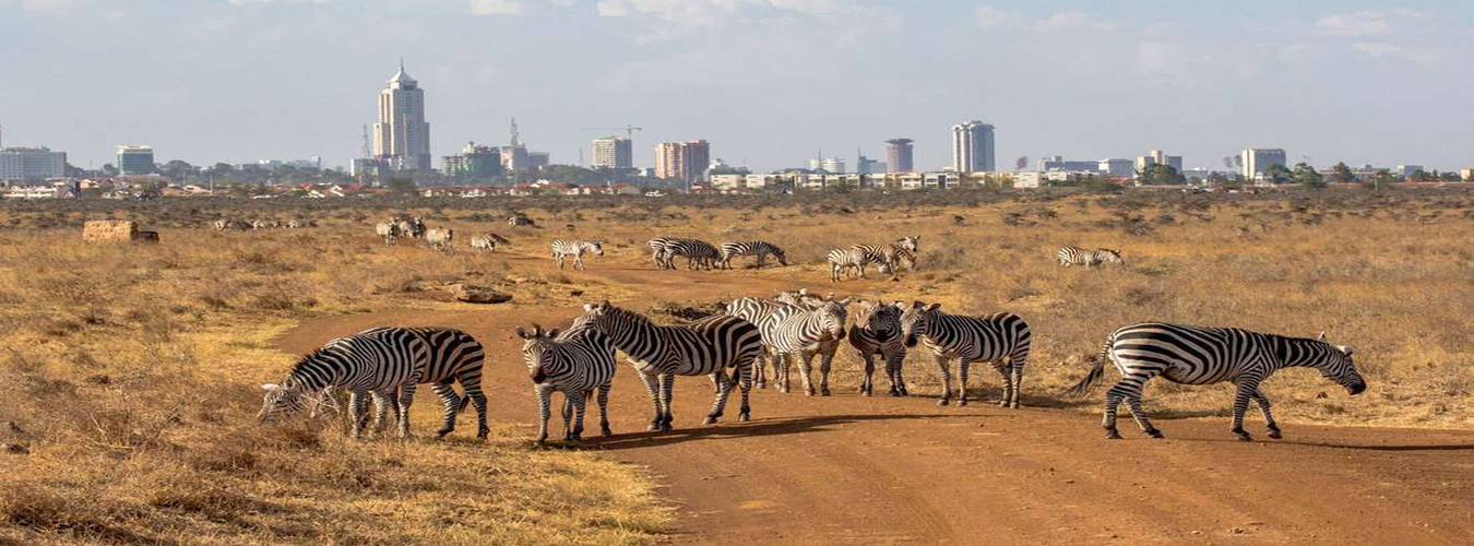 1718788910896501.jpg kenya.jpg